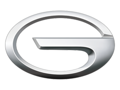 chinese car logo