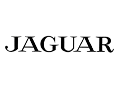 Jaguar Logo, 1951