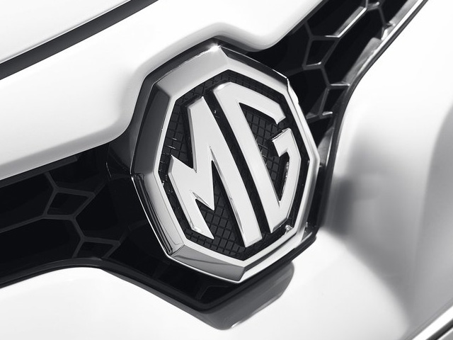 Mg logo -  France