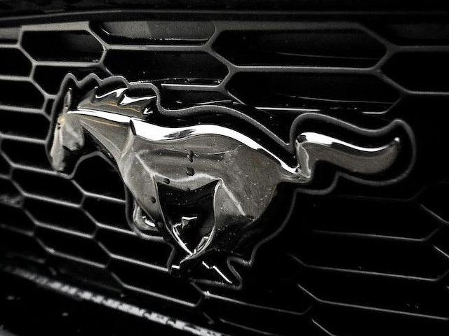 Ford Mustang Logo Meaning Information