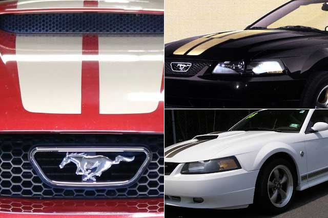 2004 Mustang 40th Anniversary Edition, Colors