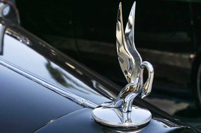 Car Logos With Bird：Packard