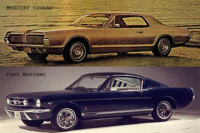 The Cougar and Mustang Are Closely Related