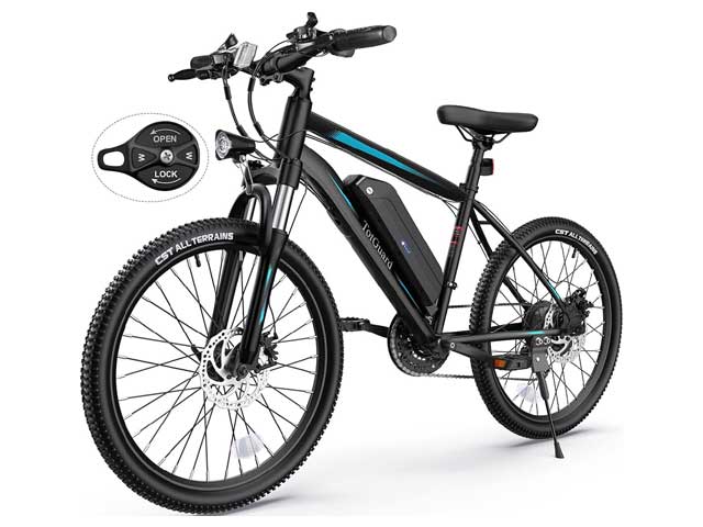 TotGaurd E-Bike