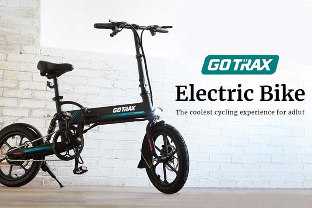 GoTrax EBE1